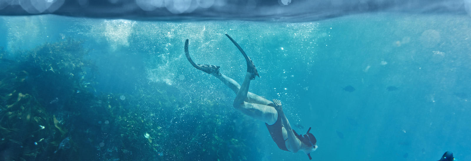 Diving in Poor Knights