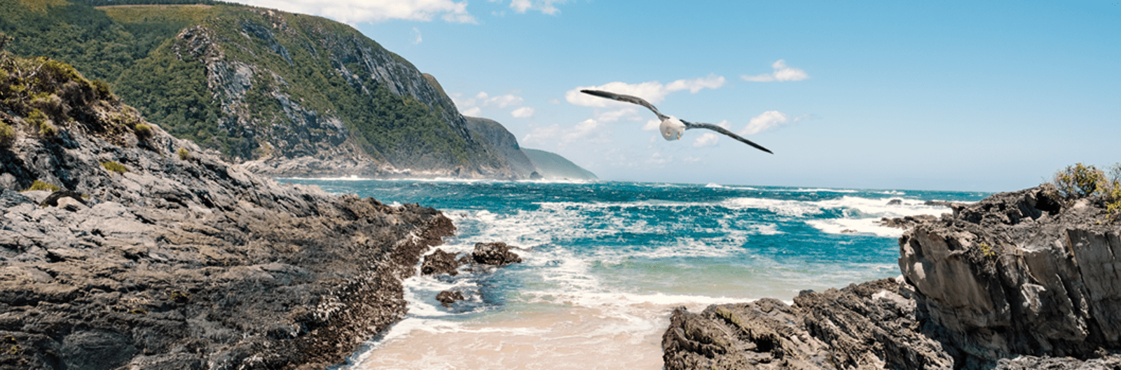 south_africa