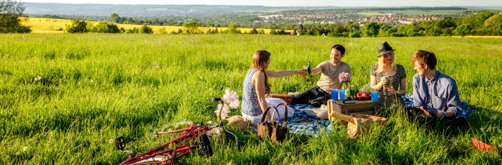 picnics in south africa