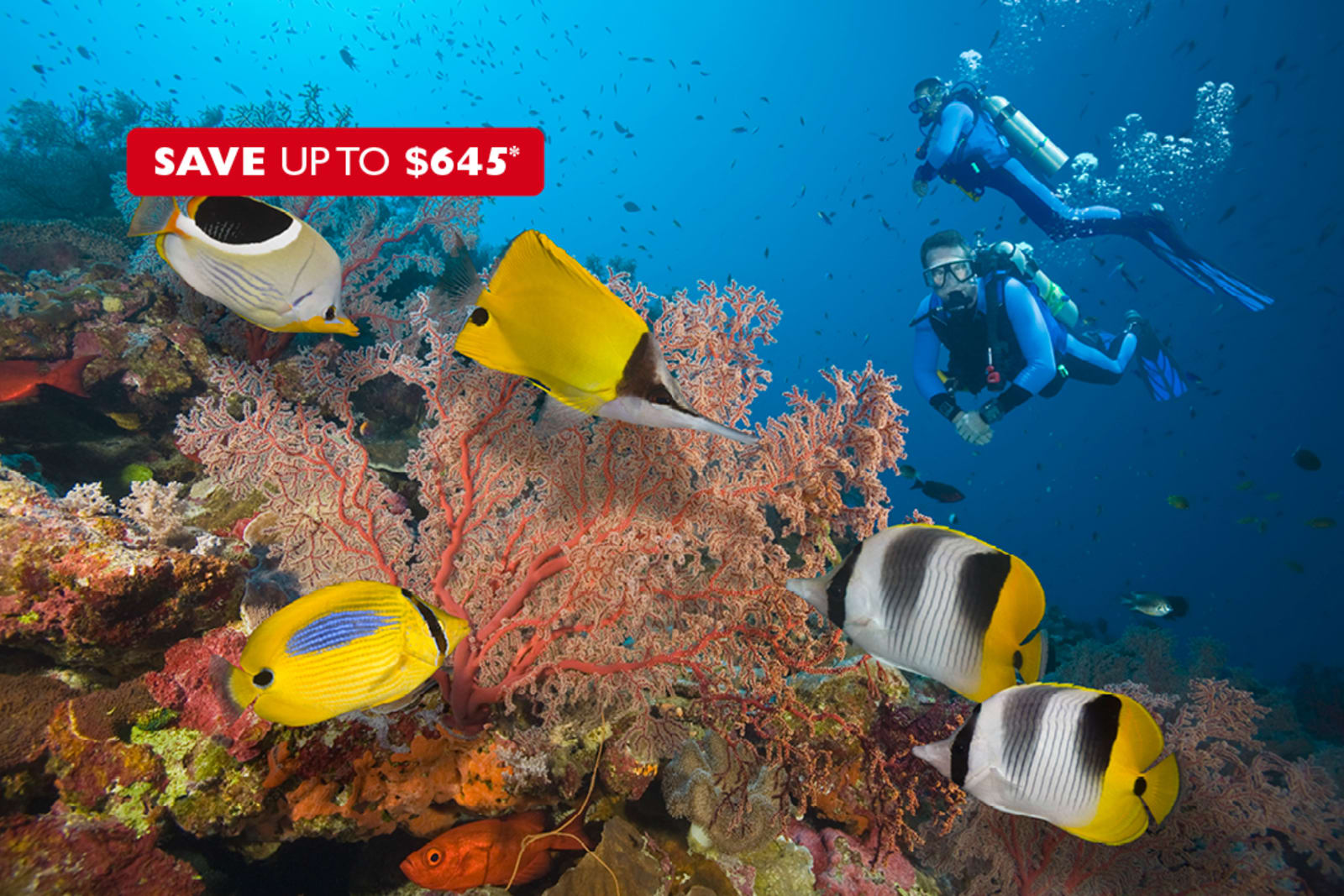 Two people snorkelling the Great Barrier Reef in Australia