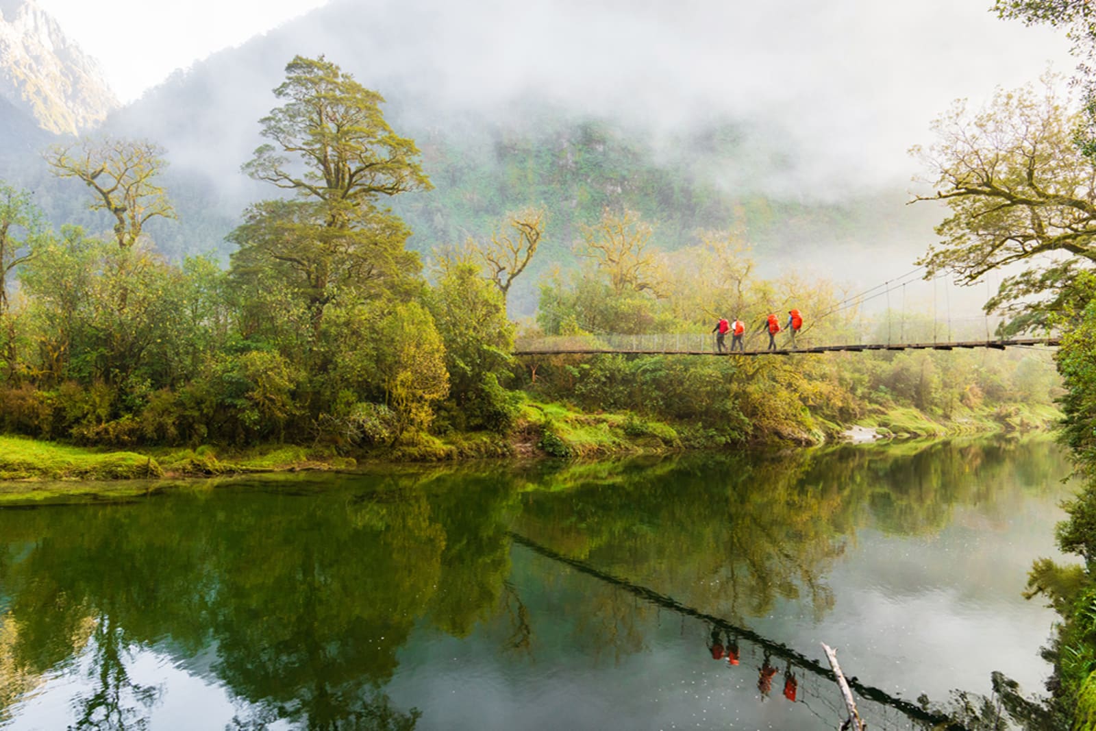 A group of people walking in New Zealand's Fiordland National Park