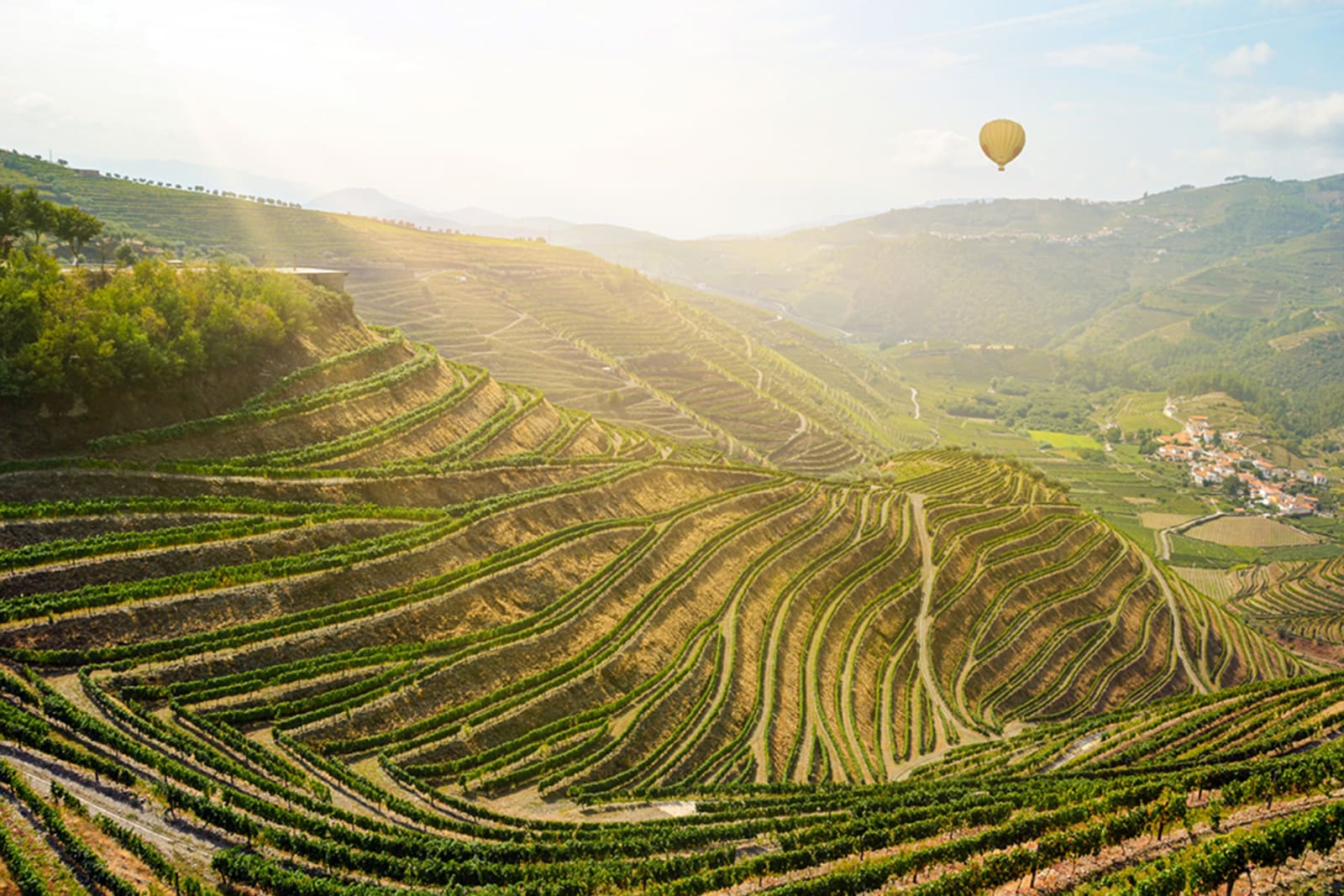 Douro Valley wine region in Portugal