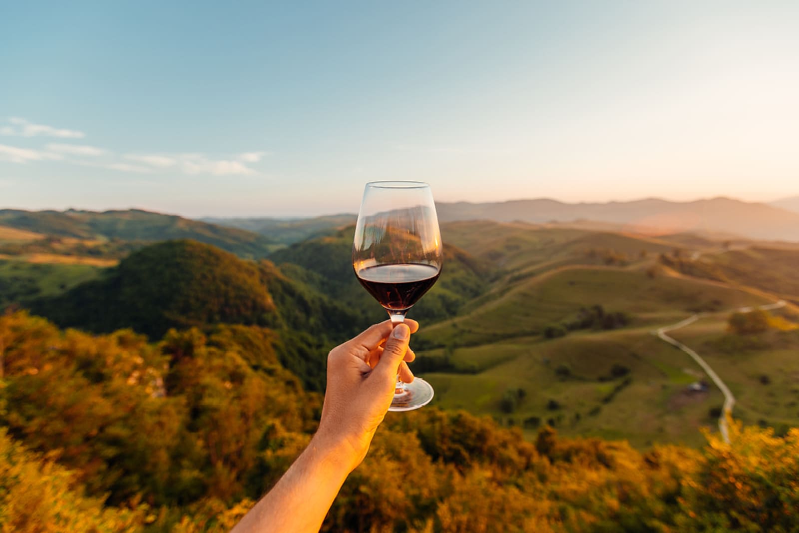A wine glass being held in front of a beautiful backdrop in Italy's Tuscany wine region