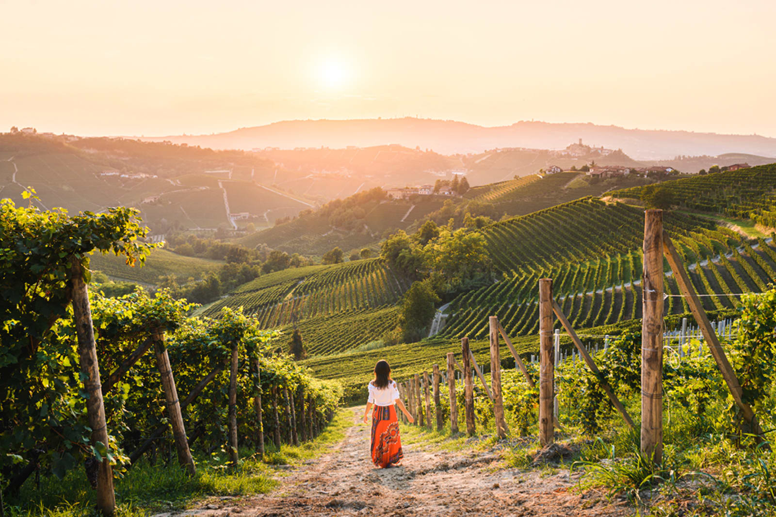A woman walking through a vineyard in Italy's Piedmont wine region