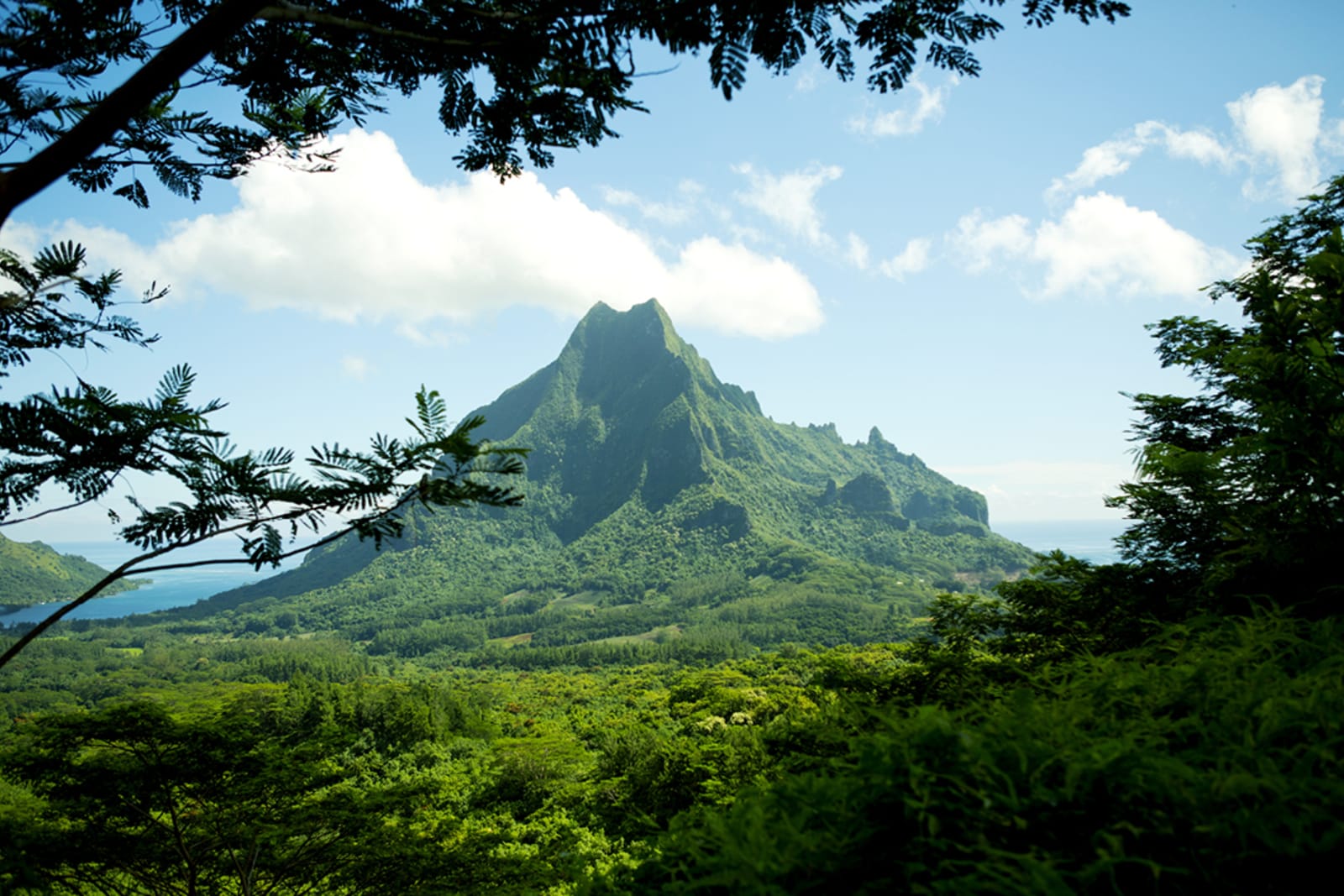 Mount Rotui scenic photo in Moorea