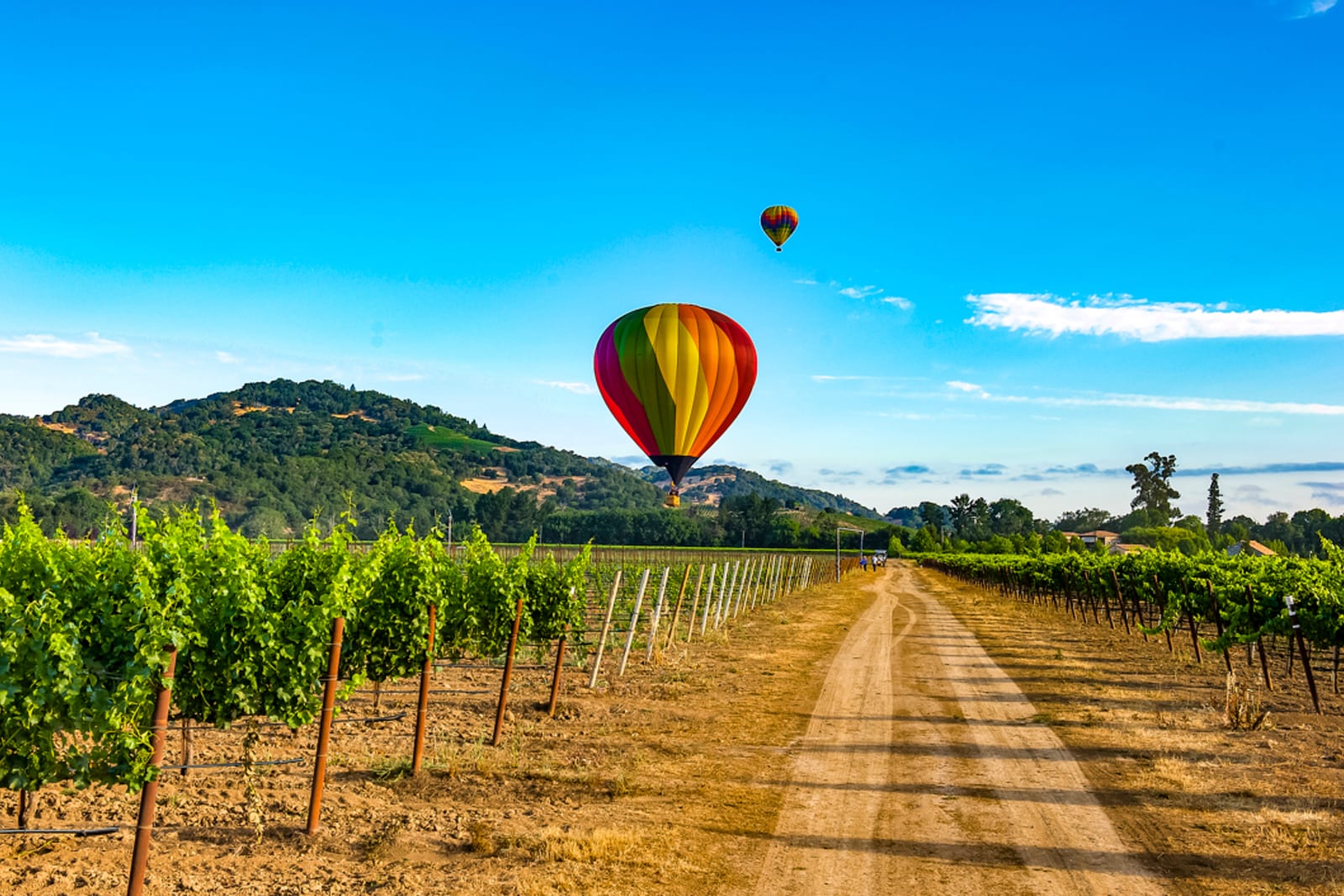 Napa Valley, California