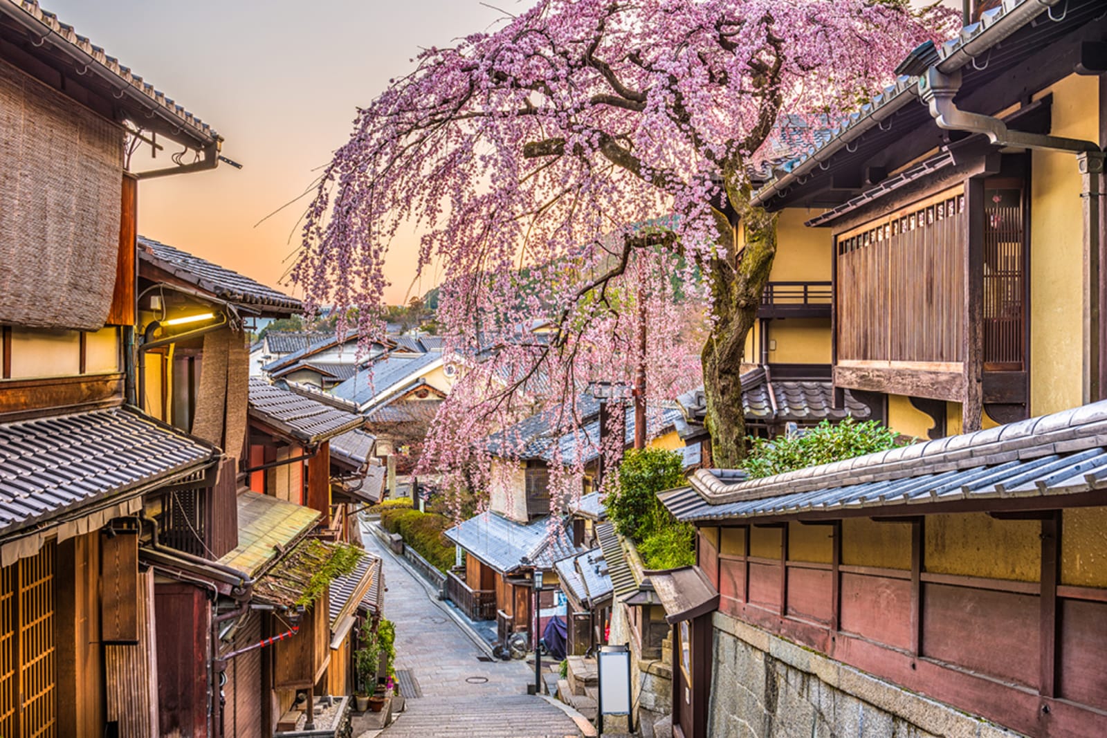 Kyoto, Japan