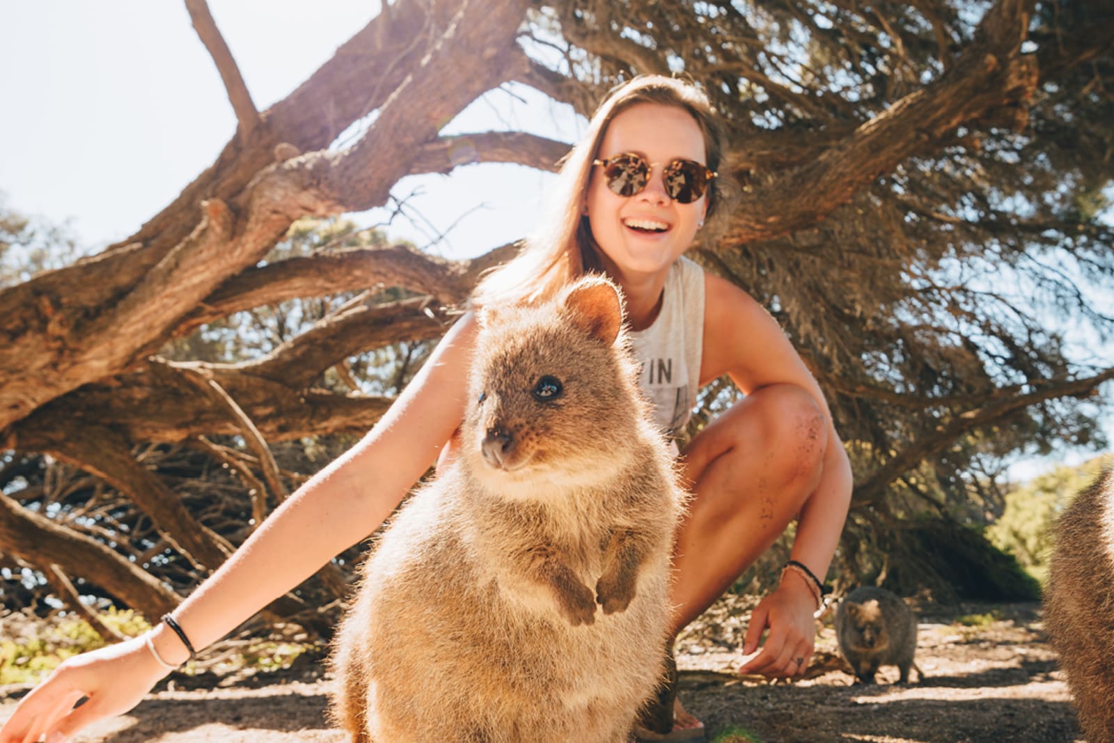 Traveller with a quokka
