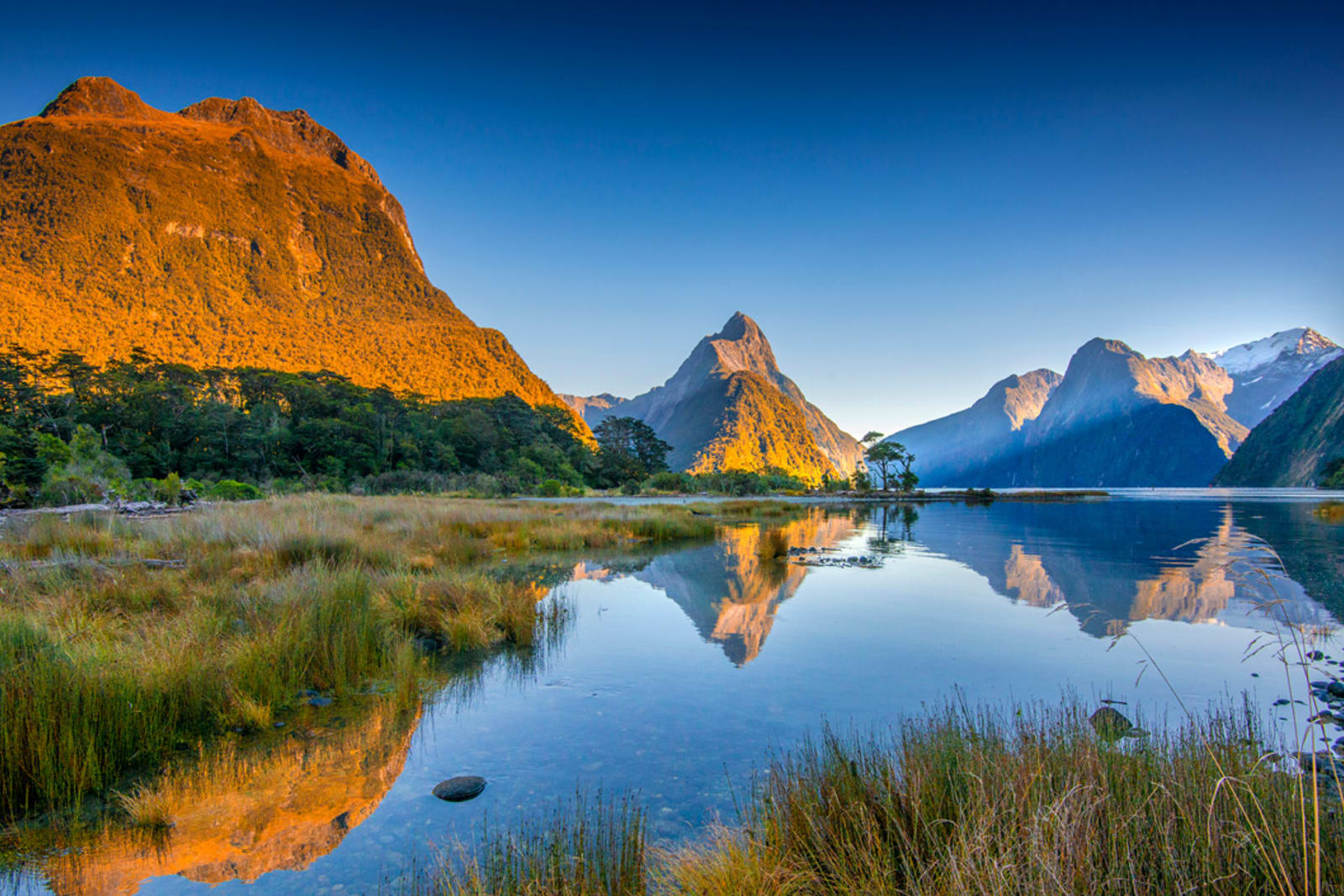 Milford Sound, New Zealand