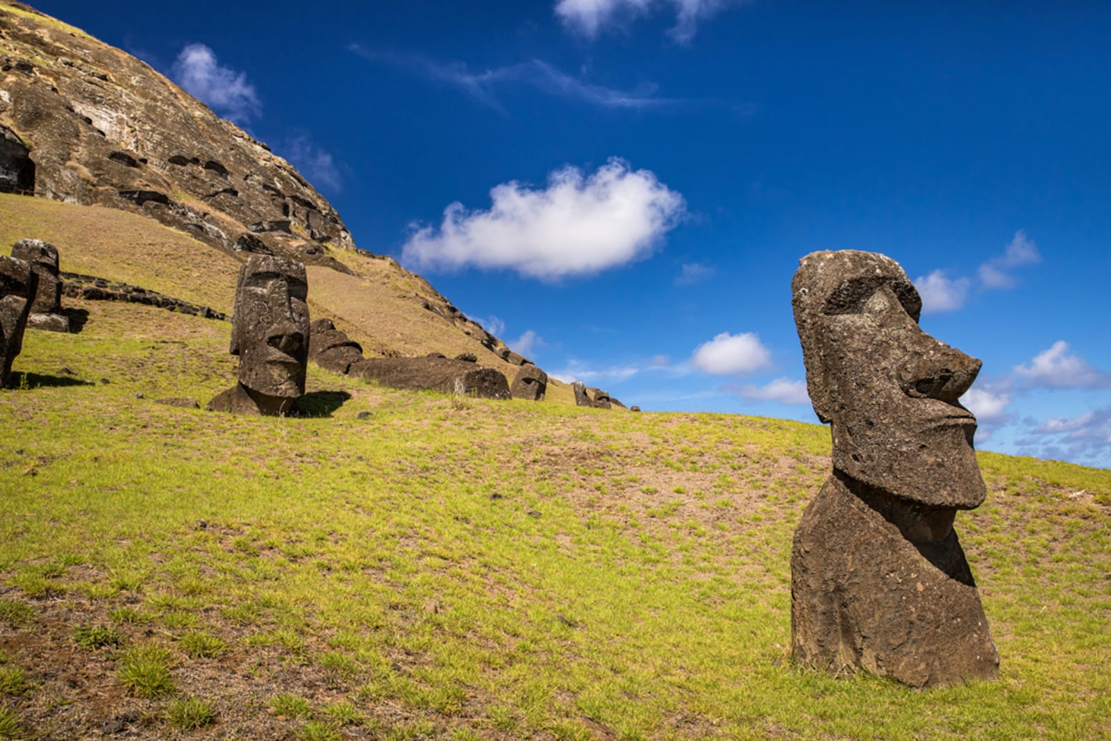 Moai statues on Easter Island