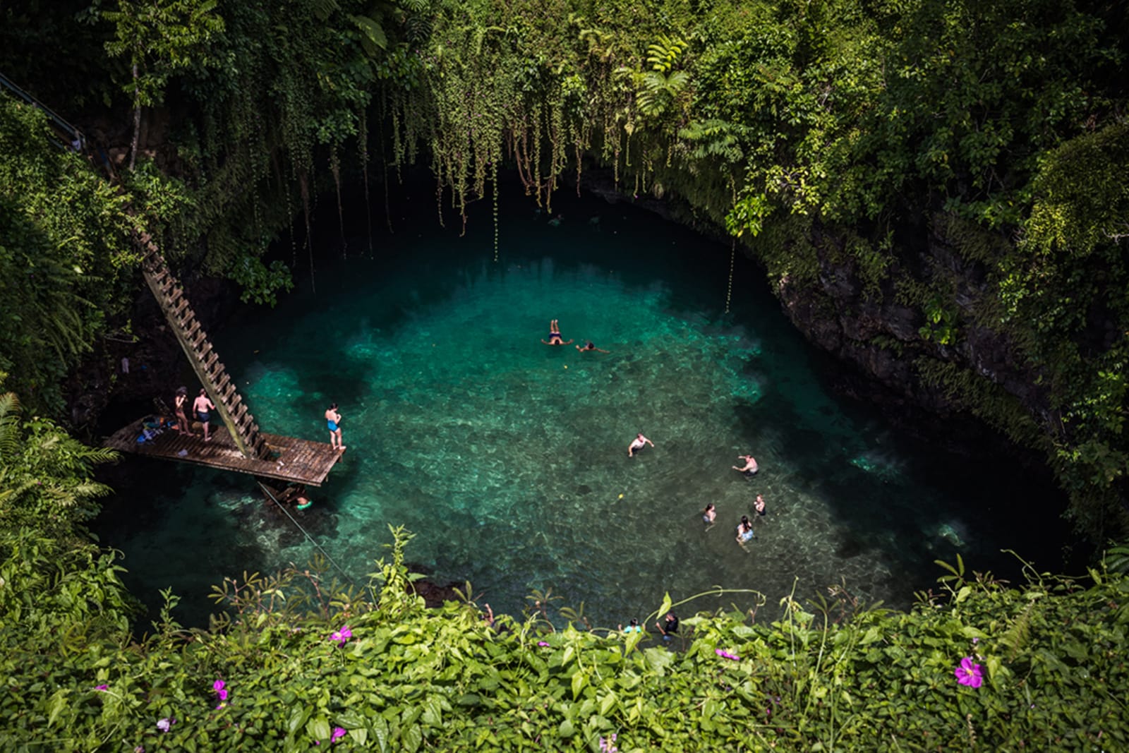 People swimming in Samoa's To Sua Ocean Trench