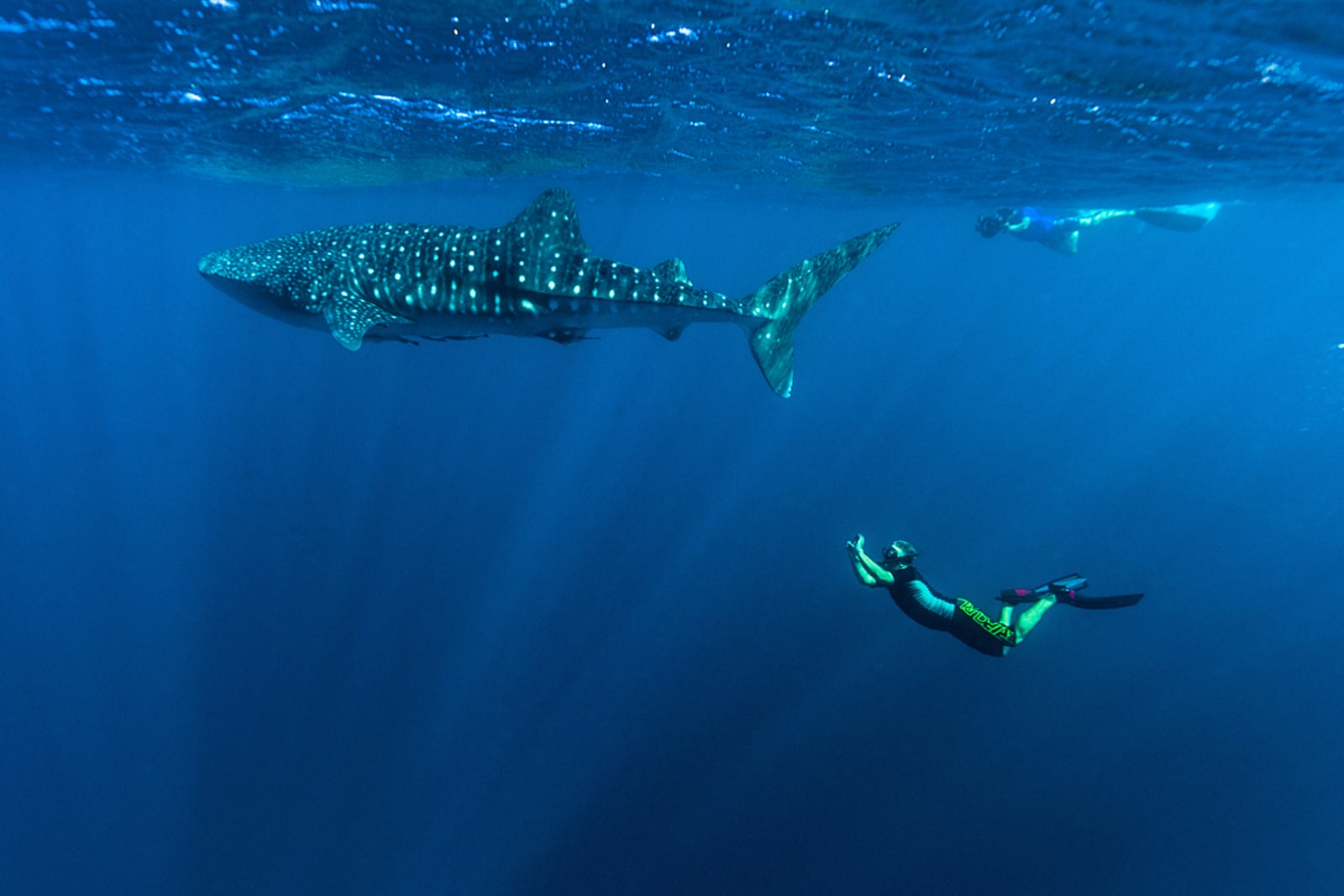 Ningaloo Marine Park, Australia