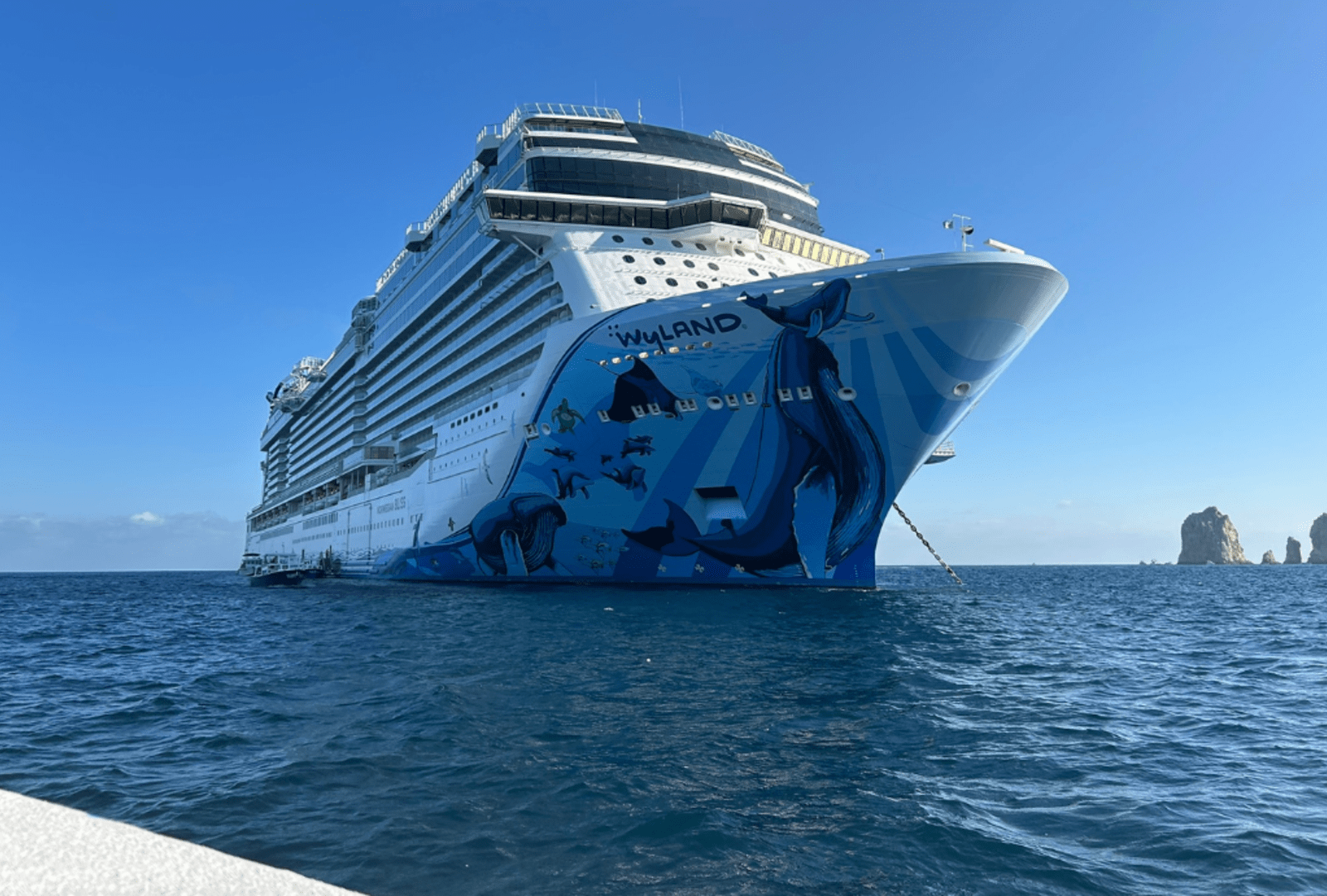 The hull of the NCL cruise ship Norwegian Bliss with art depicting marine life like humpback whales, sea turtles, seals, and dolphins