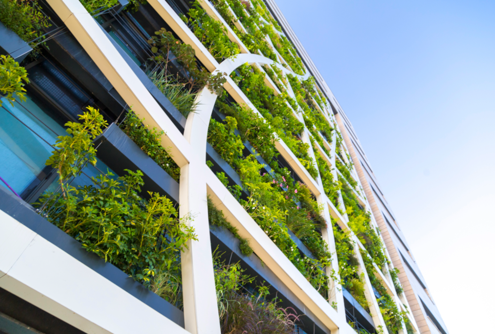 Detail from a living wall covered with variety of plants, flowers and grass, eco-friendly urban architecture