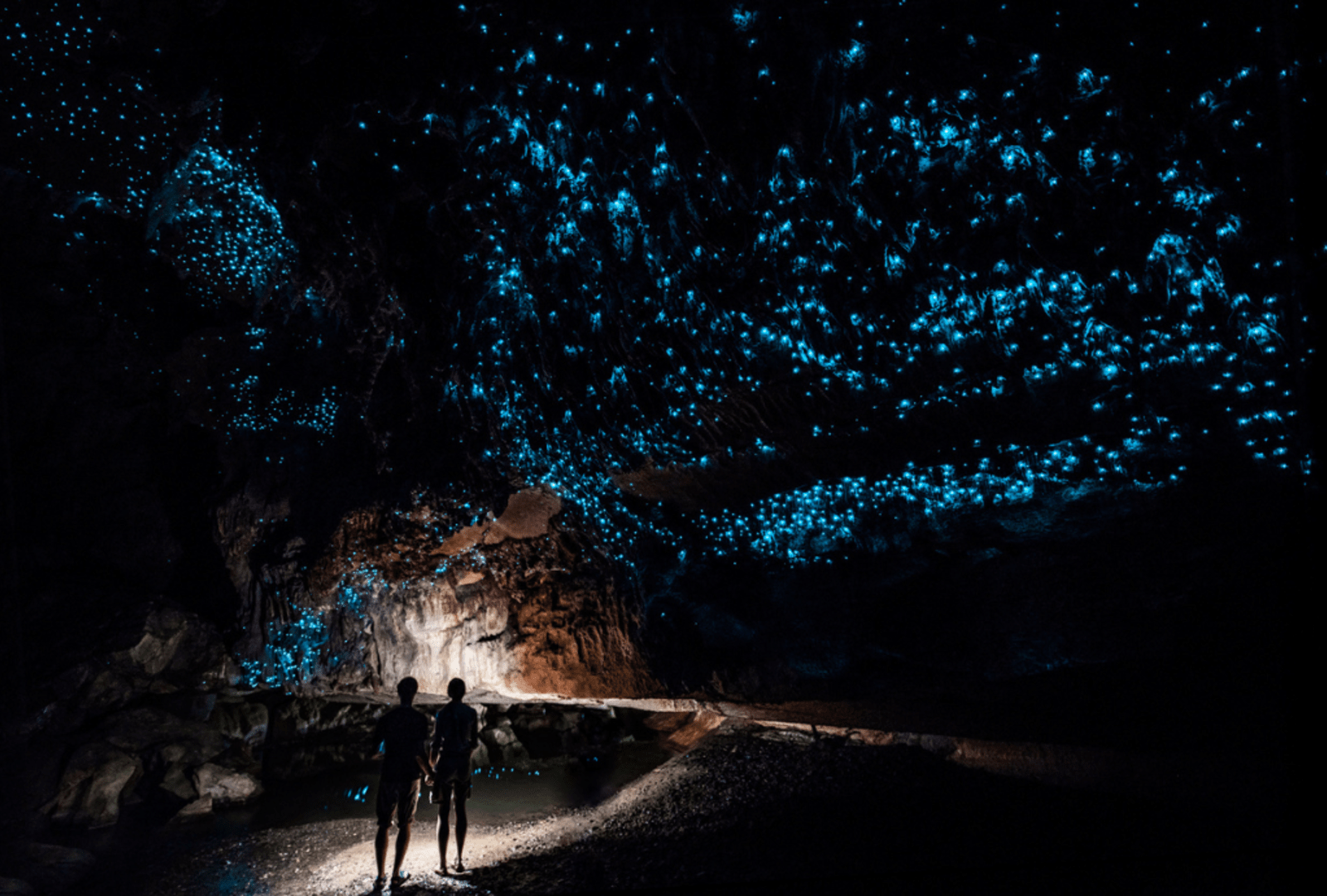 Couple standing underneath Glow Worm Sky in Waipu Cave, New Zealand