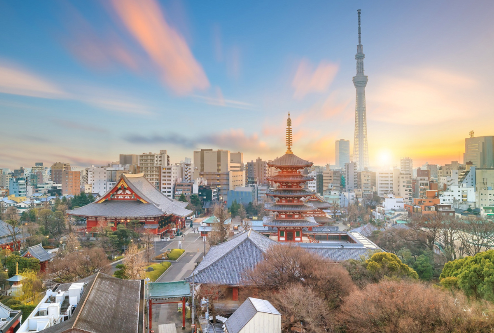 The Tokyo skyline at dawn showing Tokyo Tower in the background, temples in the foreground.