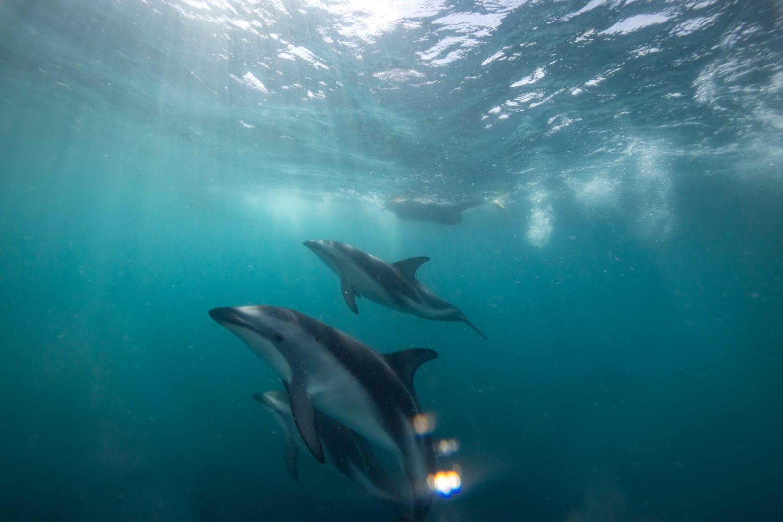 Kaikoura, New Zealand