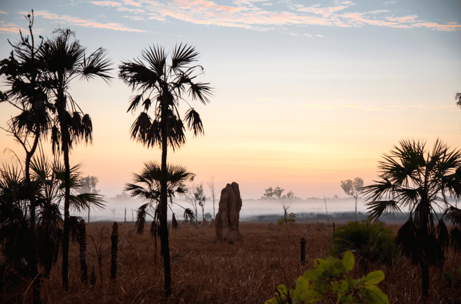 Litchfield National Park at sunrise