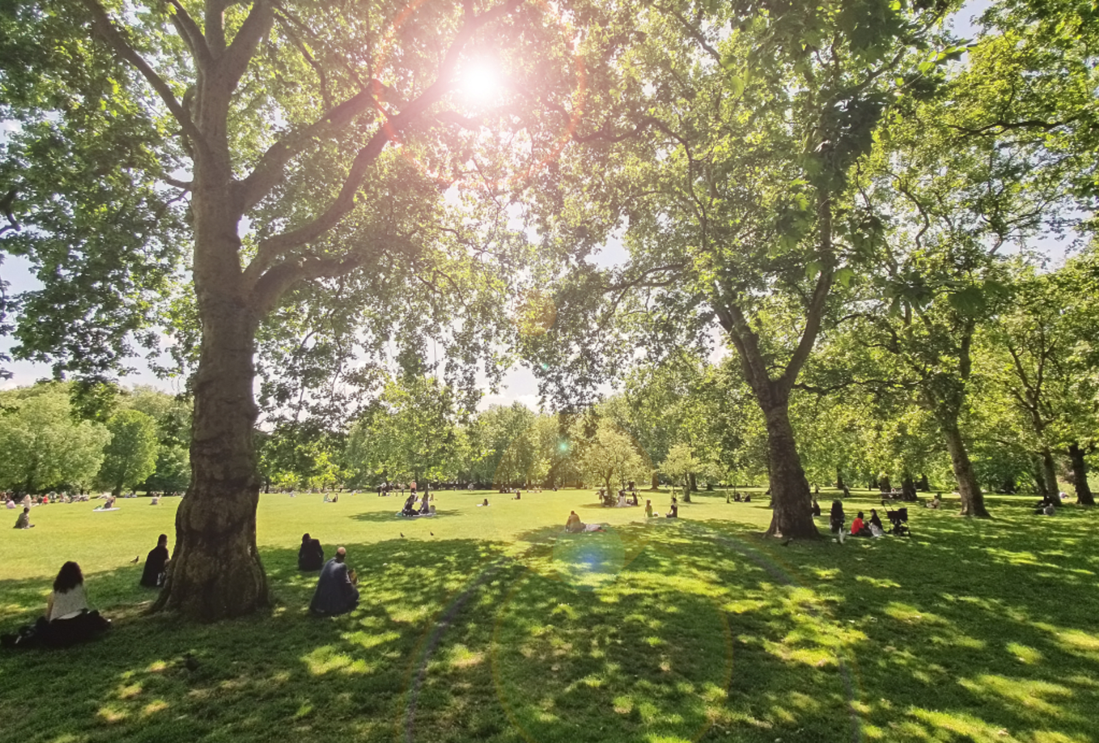 People sitting on the lawn in Green Park, London
