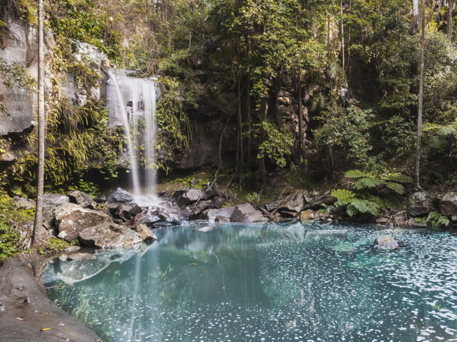 Waterfall in Mount Tamborine, Queensland, Australia
