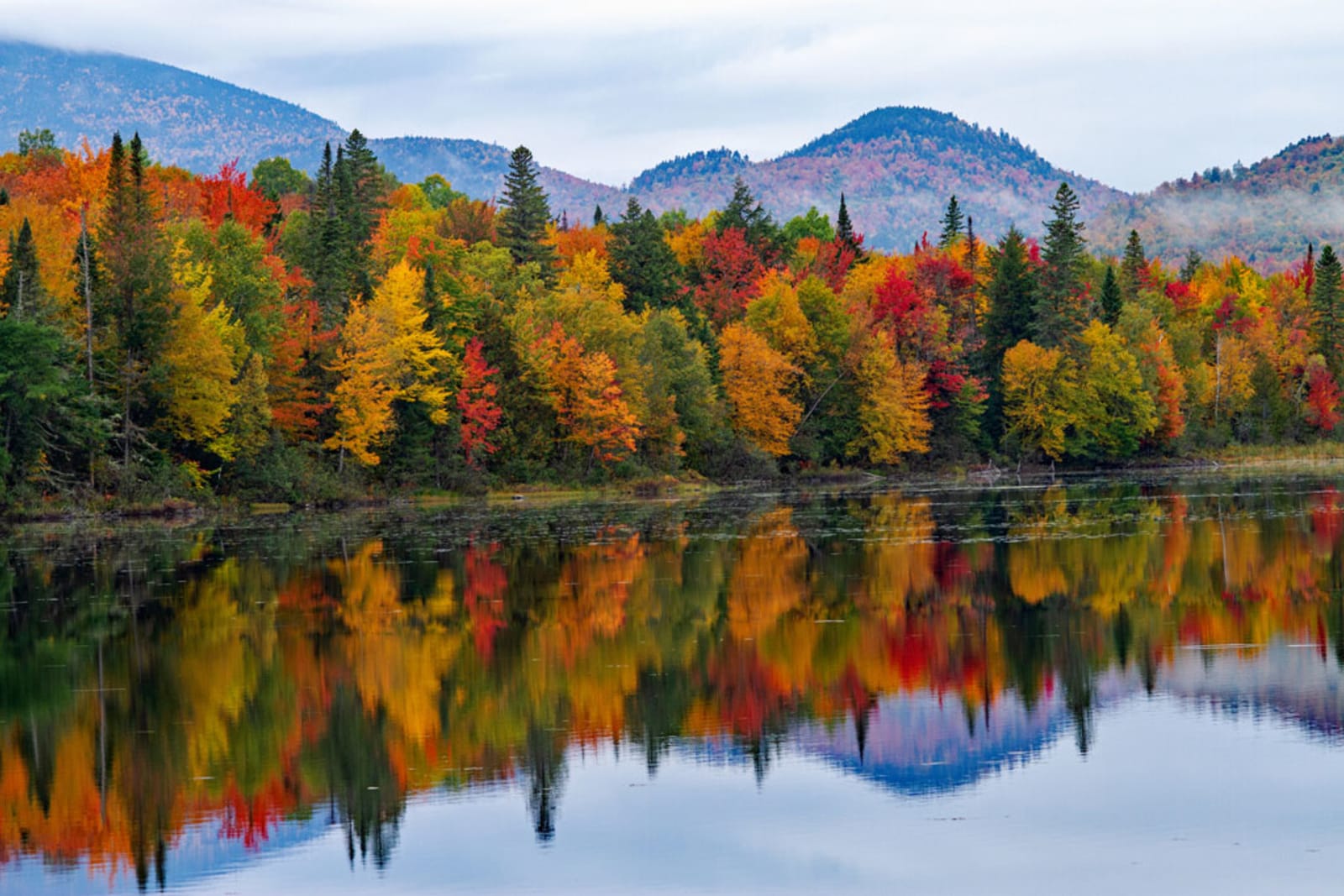 White Mountains National Forest- Dummer, New Hampshire