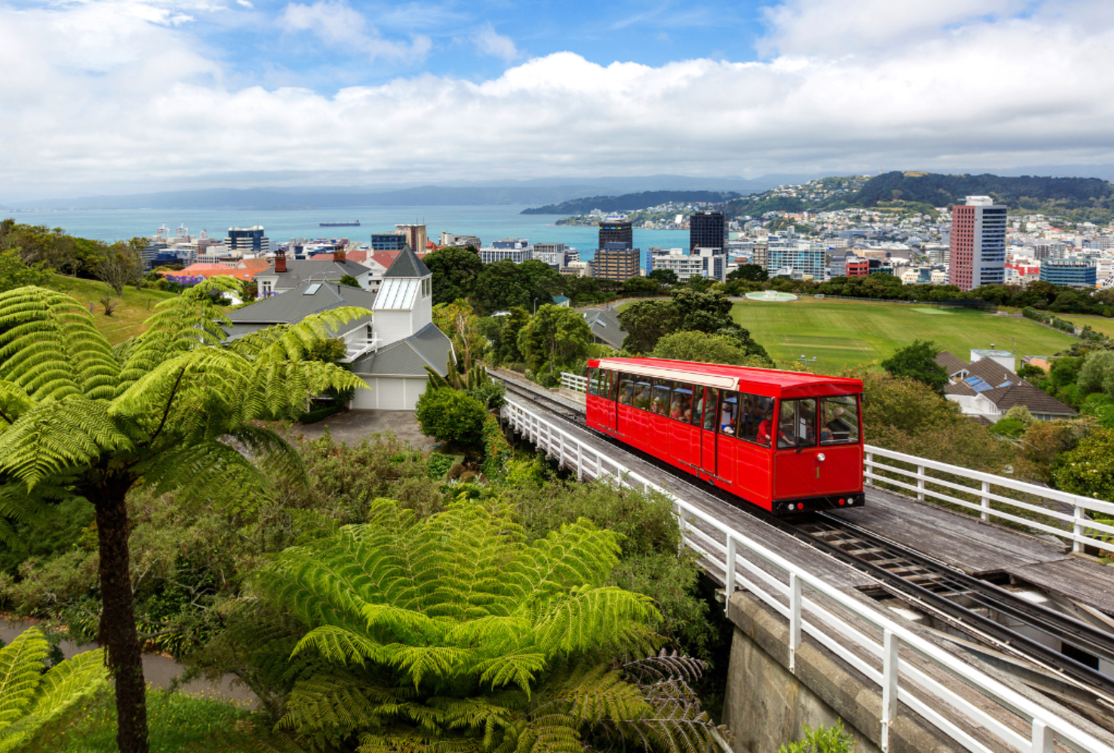 A view of Wellington's iconic Cable Car and harbour