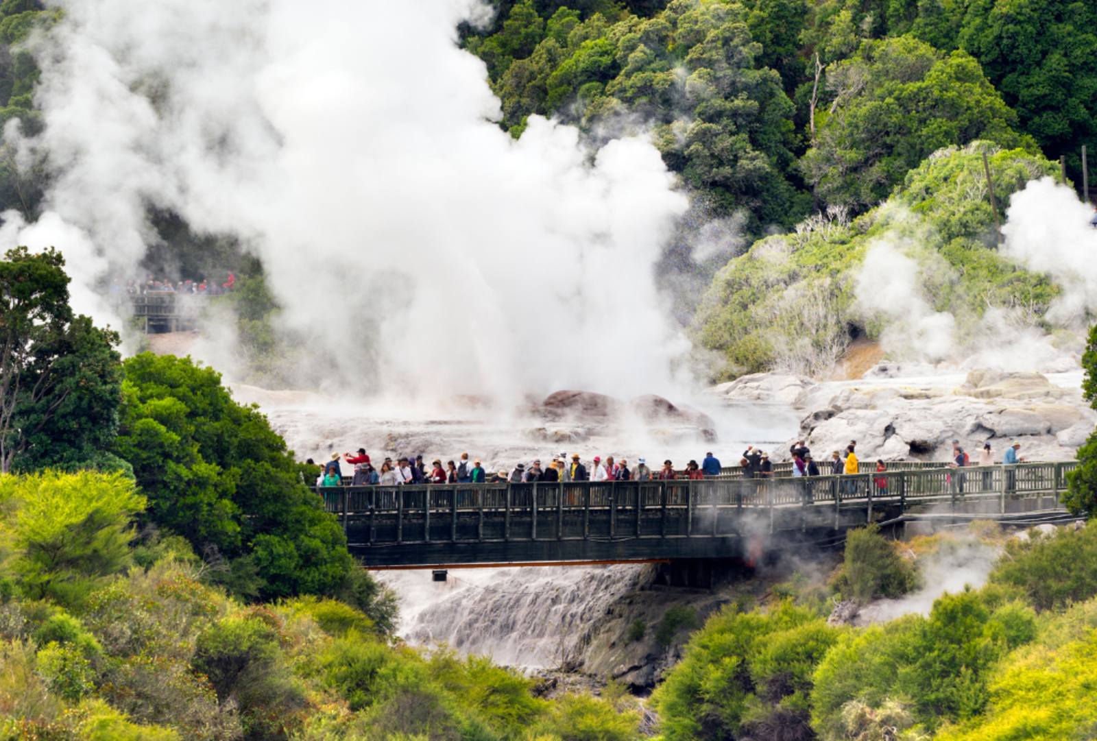Steam, rocks, trees and tourists wandering over a footbridge in the thermal wonderland of Rotorua
