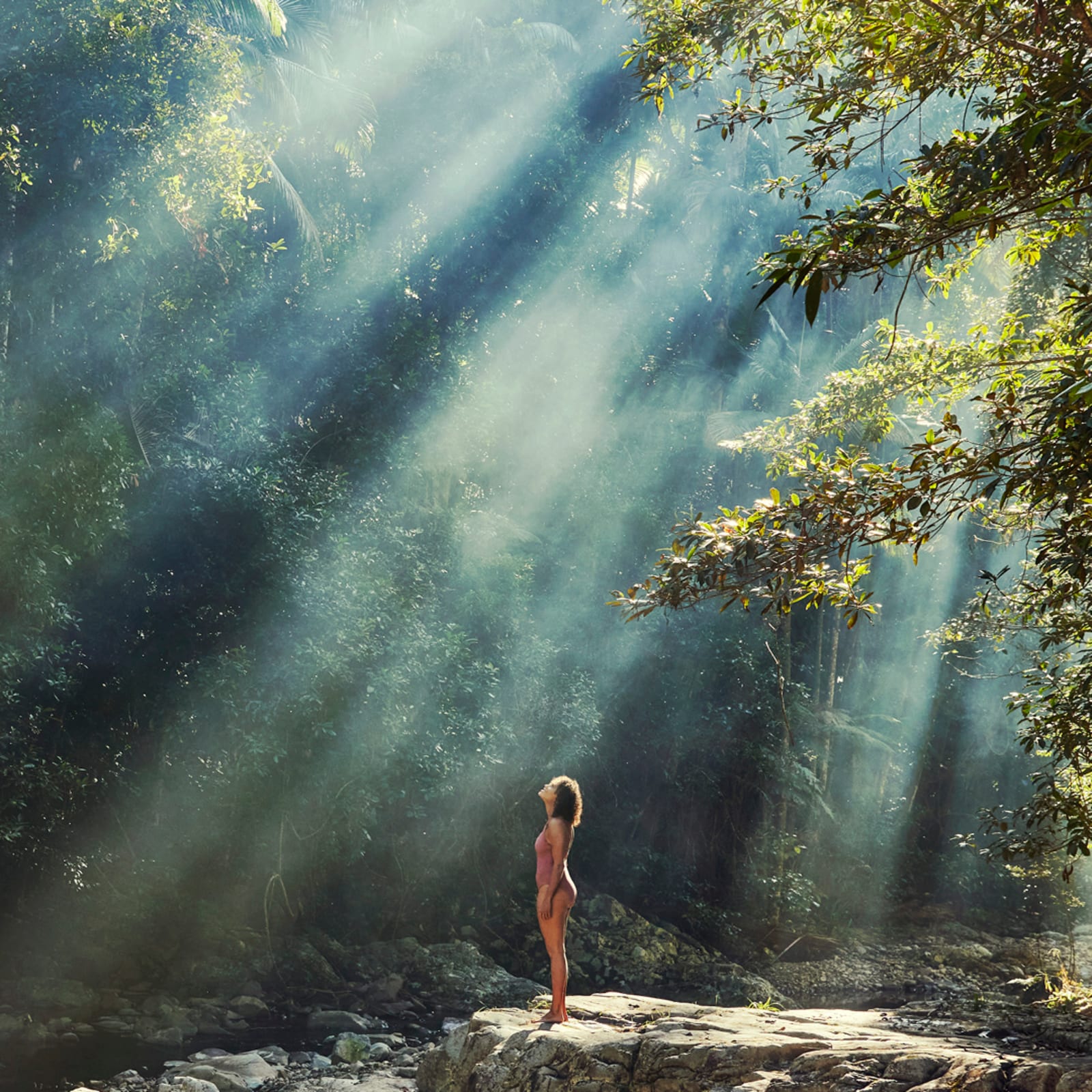 Your reef to rainforest Centre