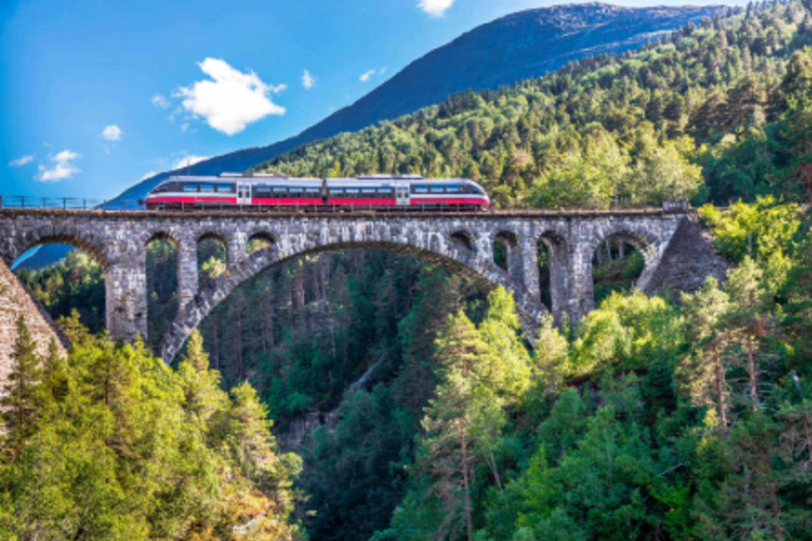 eurail train travelling over bridge in europe surrounded by trees