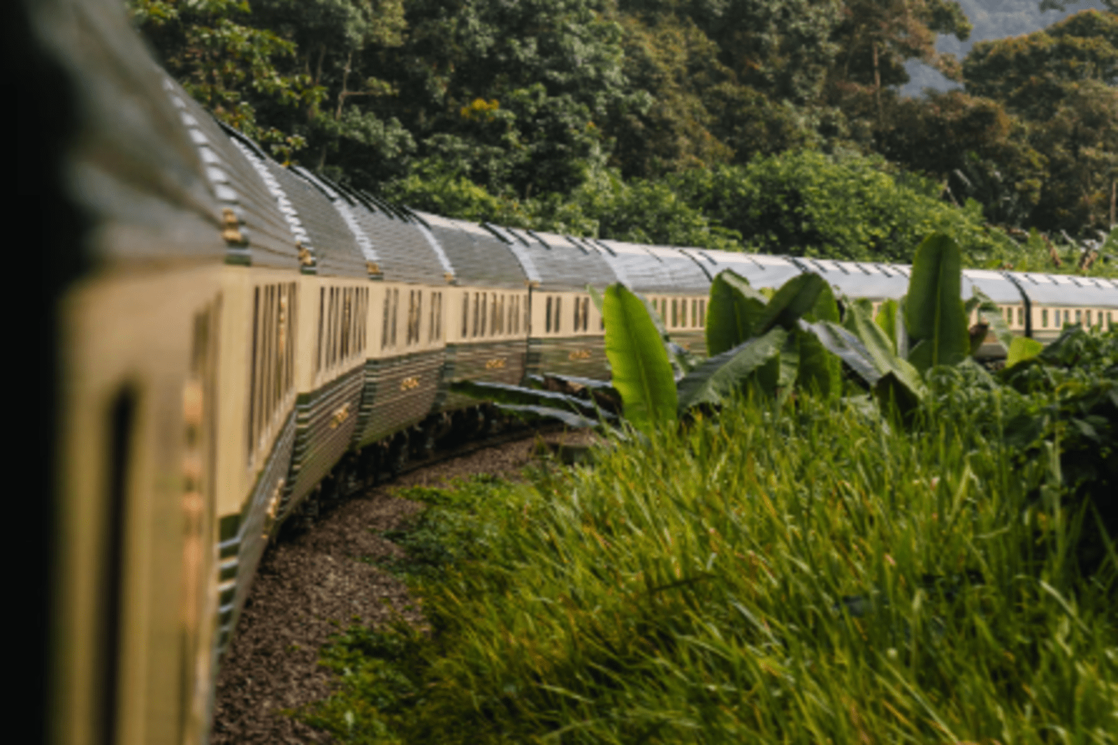 view of the side of oriental express train with greenery surrounding