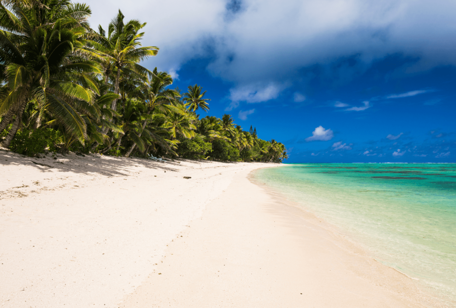 A white sandy beach flanked by azure waters on one side and coconut palms on the other