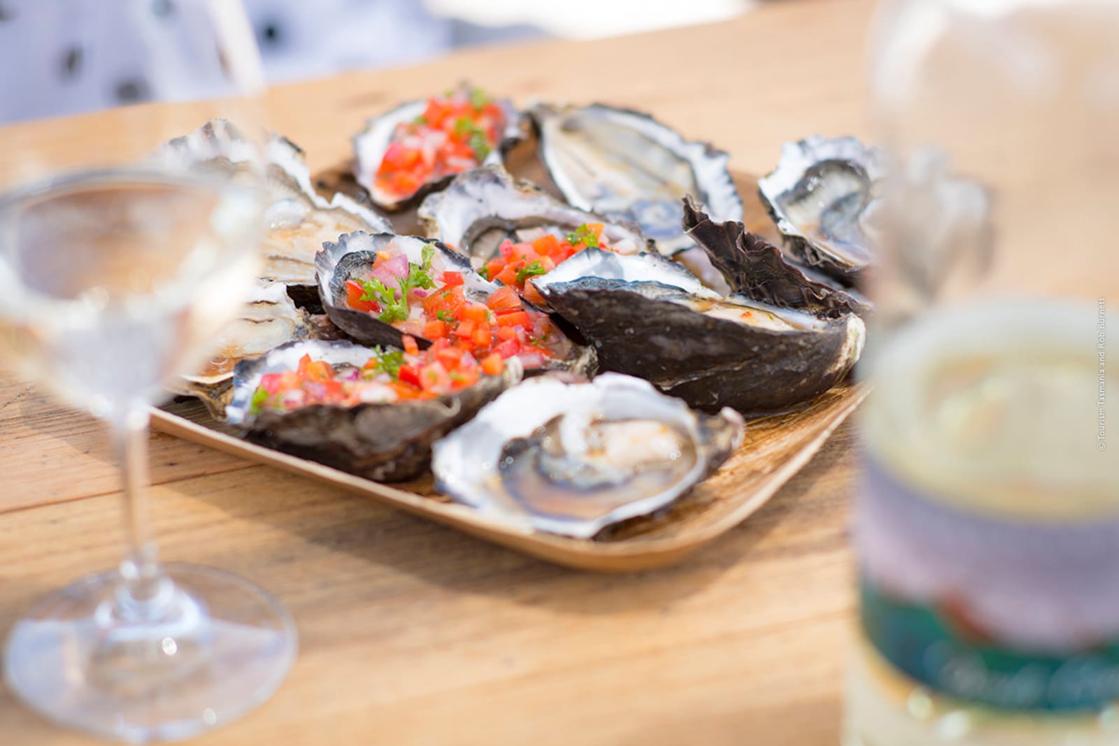 Oysters_Tasmania