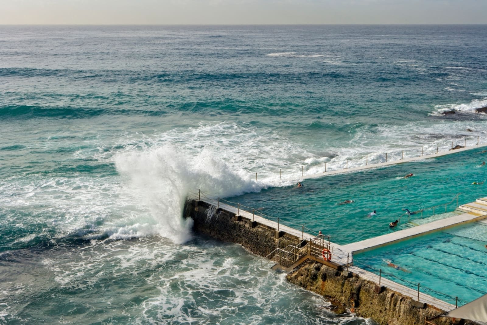 Bondi Icebergs