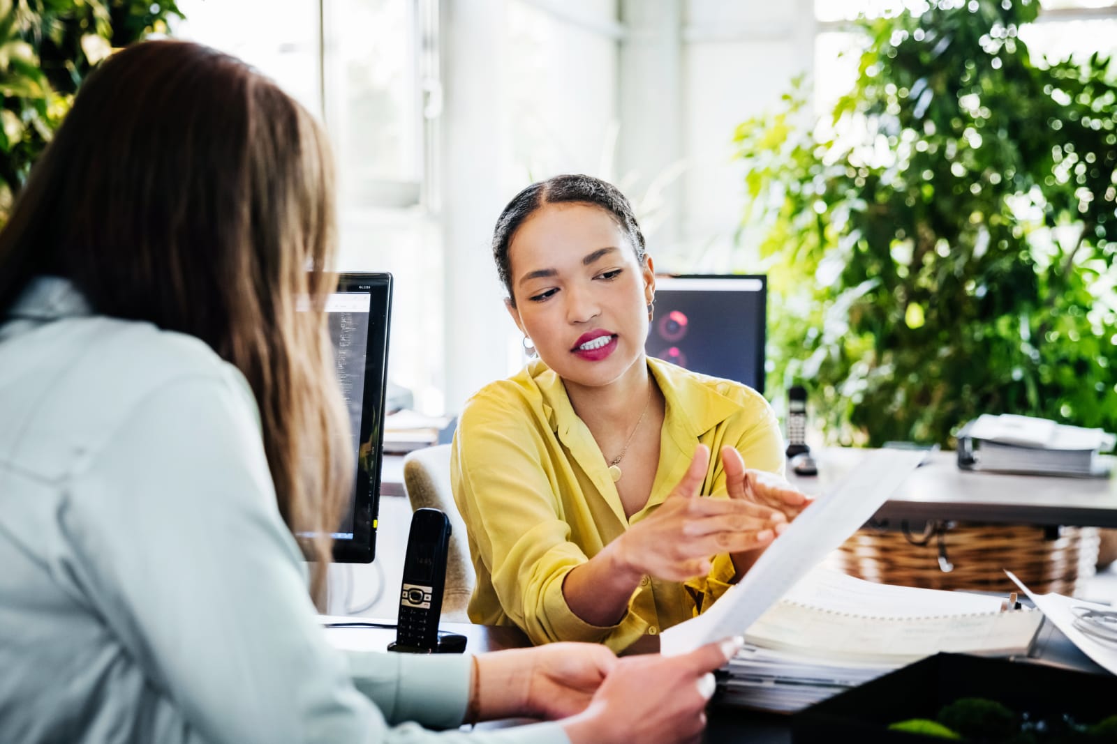 people sit in an office looking at documents