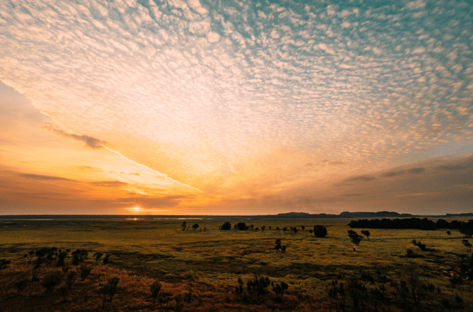 The view from Ubirr at sunrise