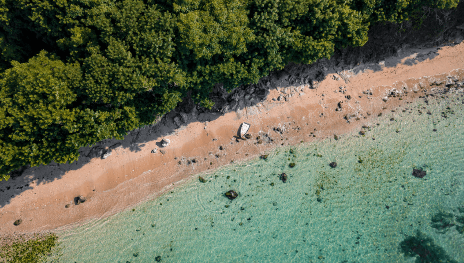 Clear blue water beach connected to forest