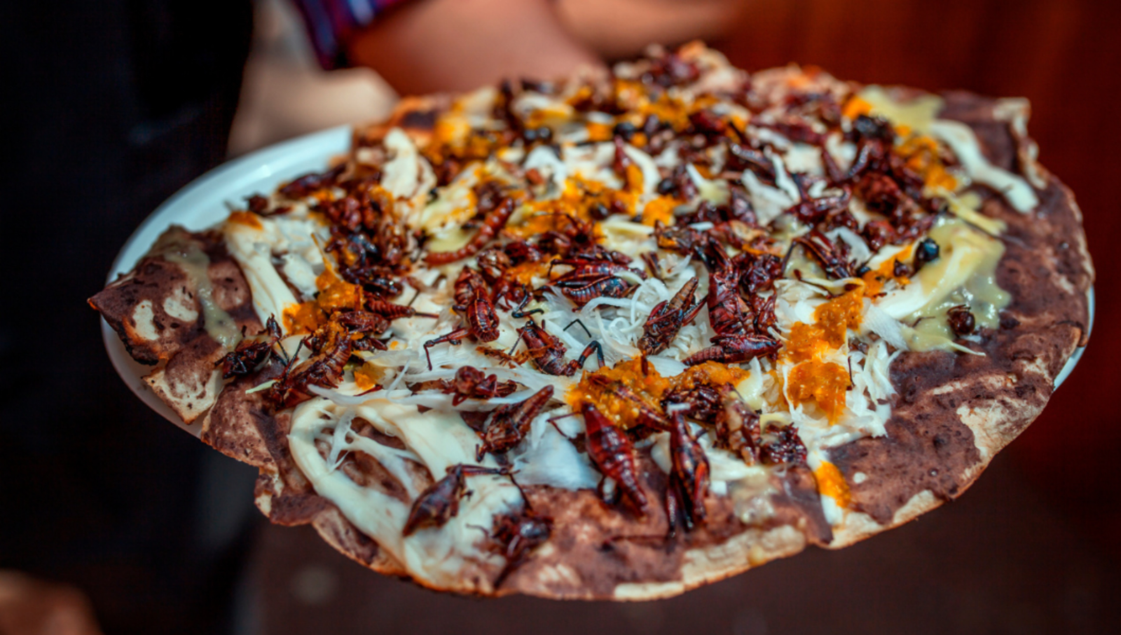 pizza with refried beans, cheese and grasshoppers