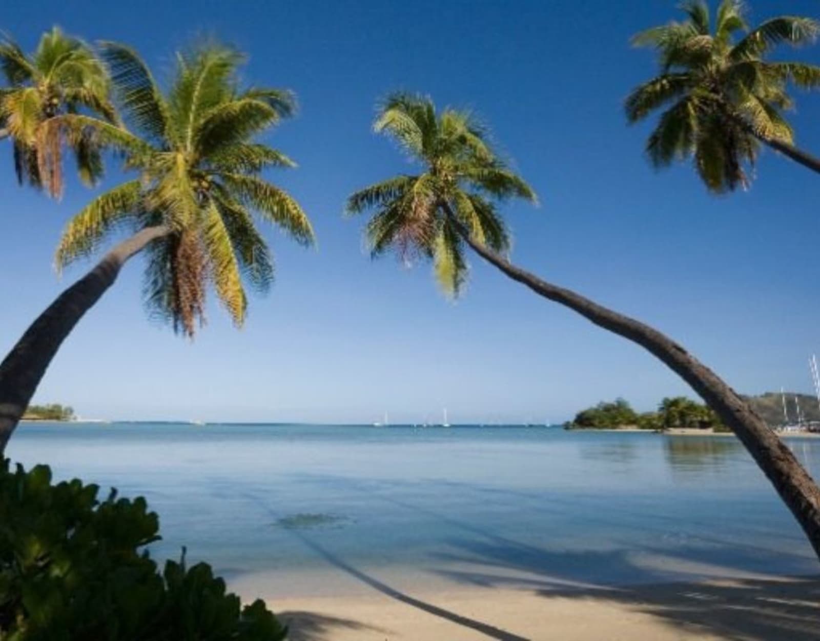 Musket Cove Island Resort & Marina