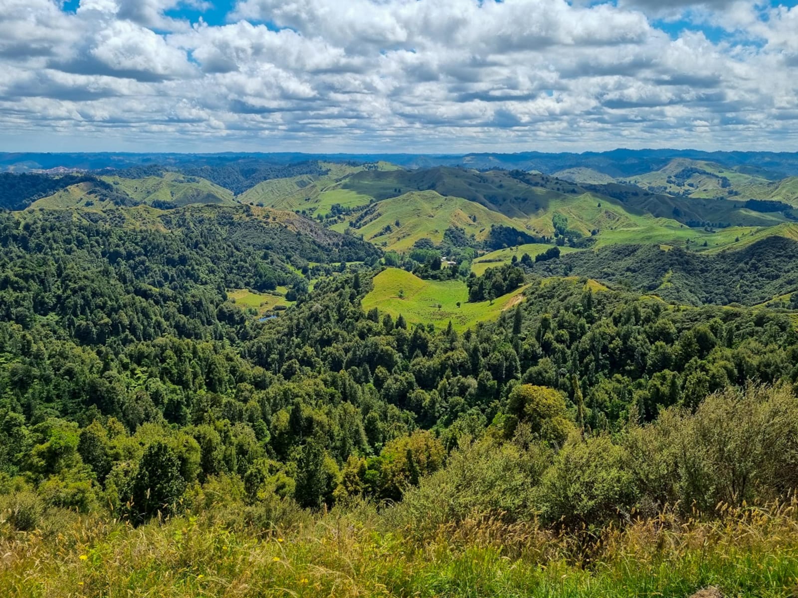 Wide shot of a lush green valley