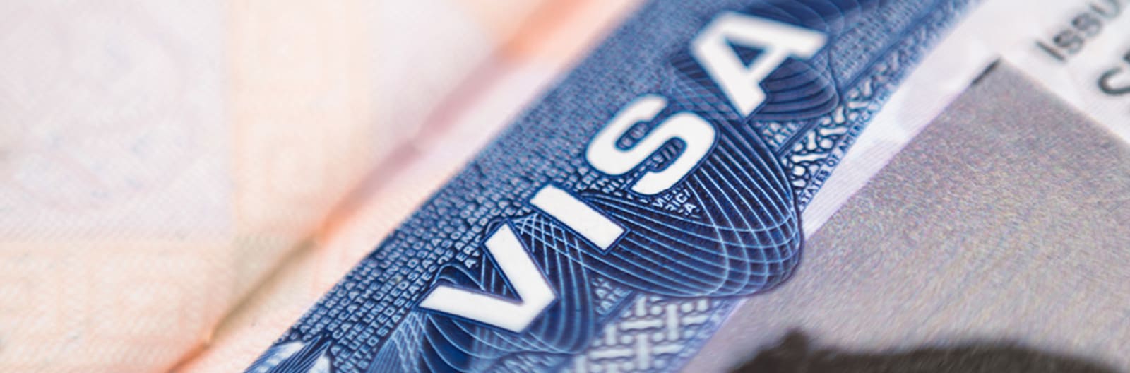 visa_info