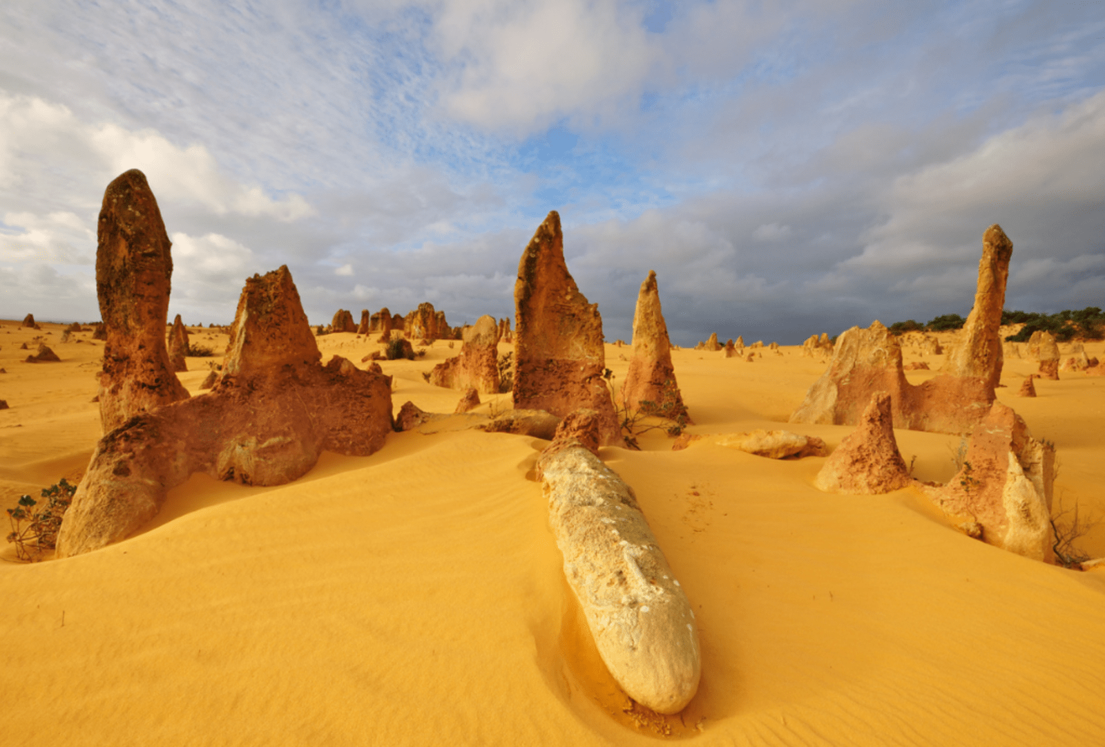 Tall rock formations amid yellow desert sands