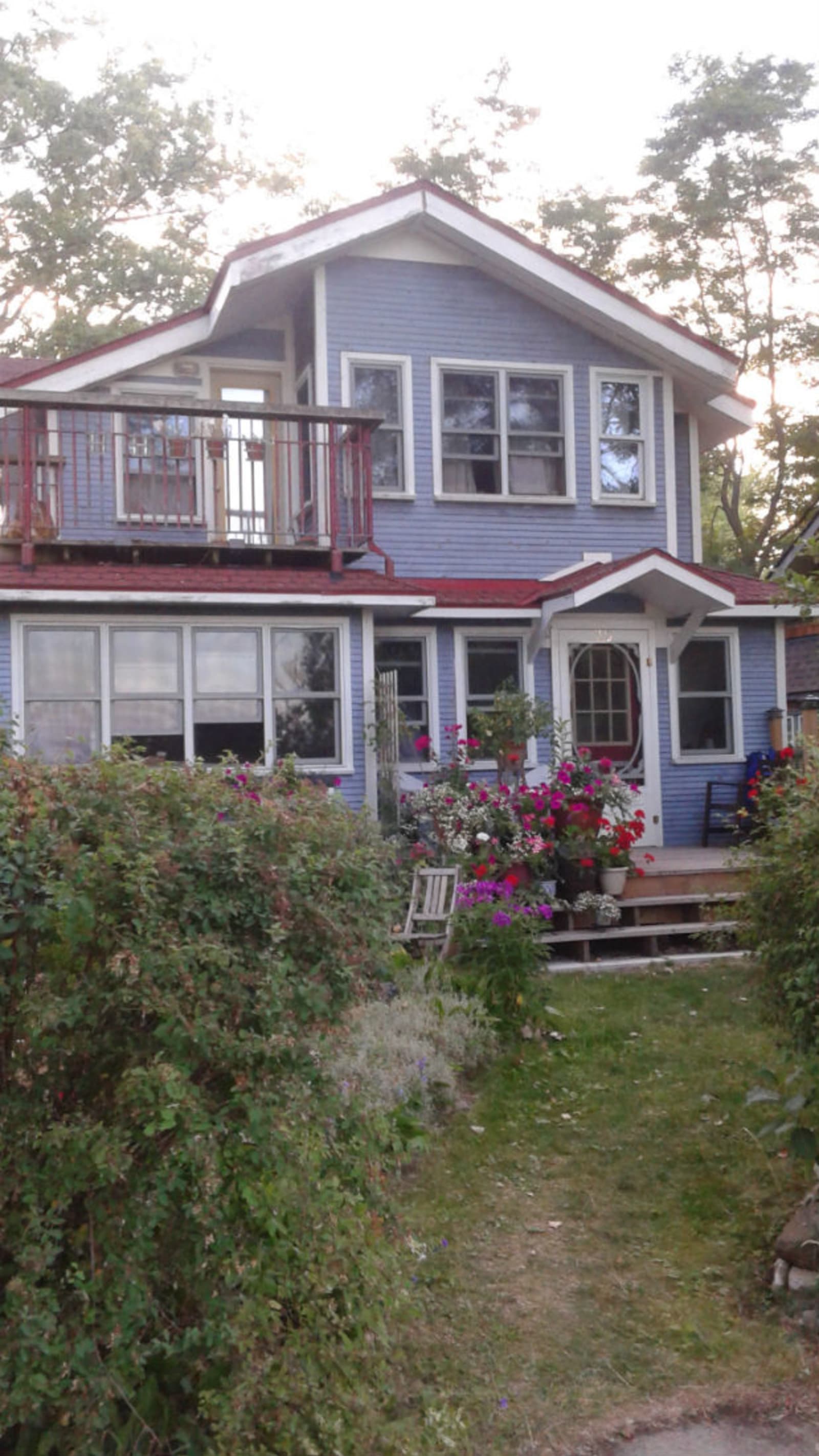 Wards Island House - two storey blue house with white lined windows and maroon windows. Beautiful flowers line the front entrance