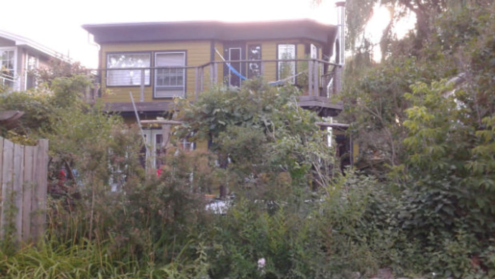 Wards Island House - side view, yellow walls reaching up behind overgrown shrubs and trees