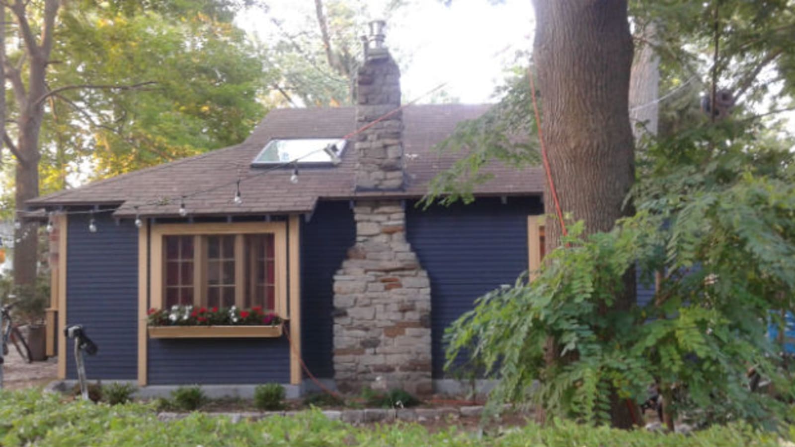 Wards Island House - outside view of the fireplace, large fern and trees in the foreground