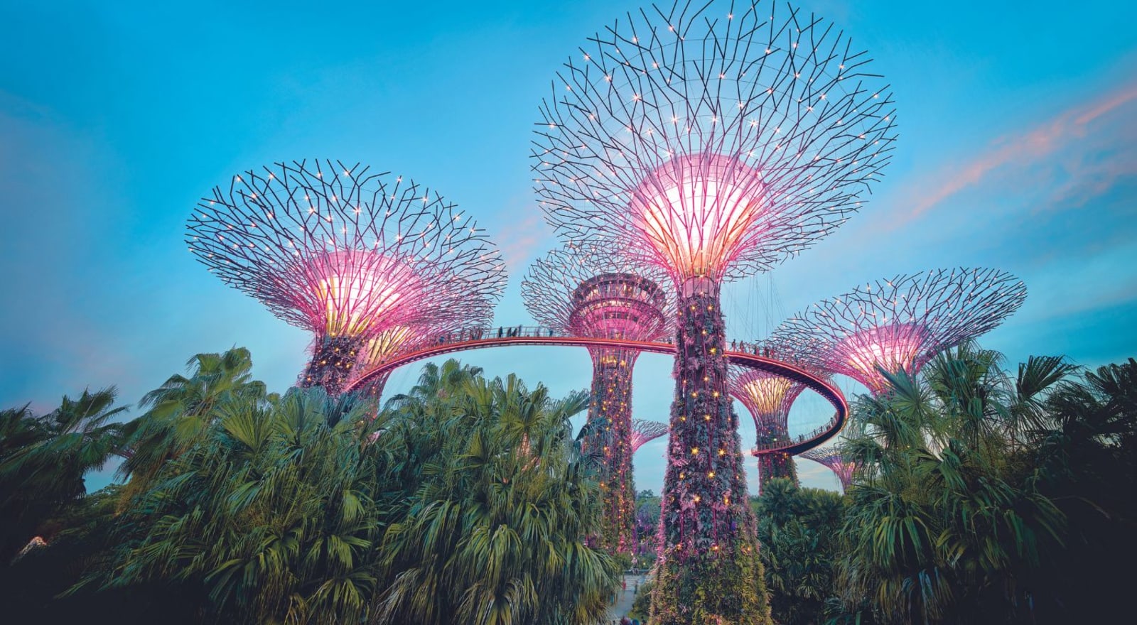 giant trees with lights singapore