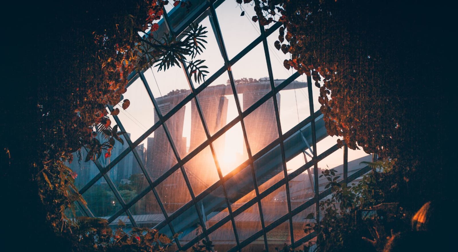 view of building outside window surrounded by plants singapore