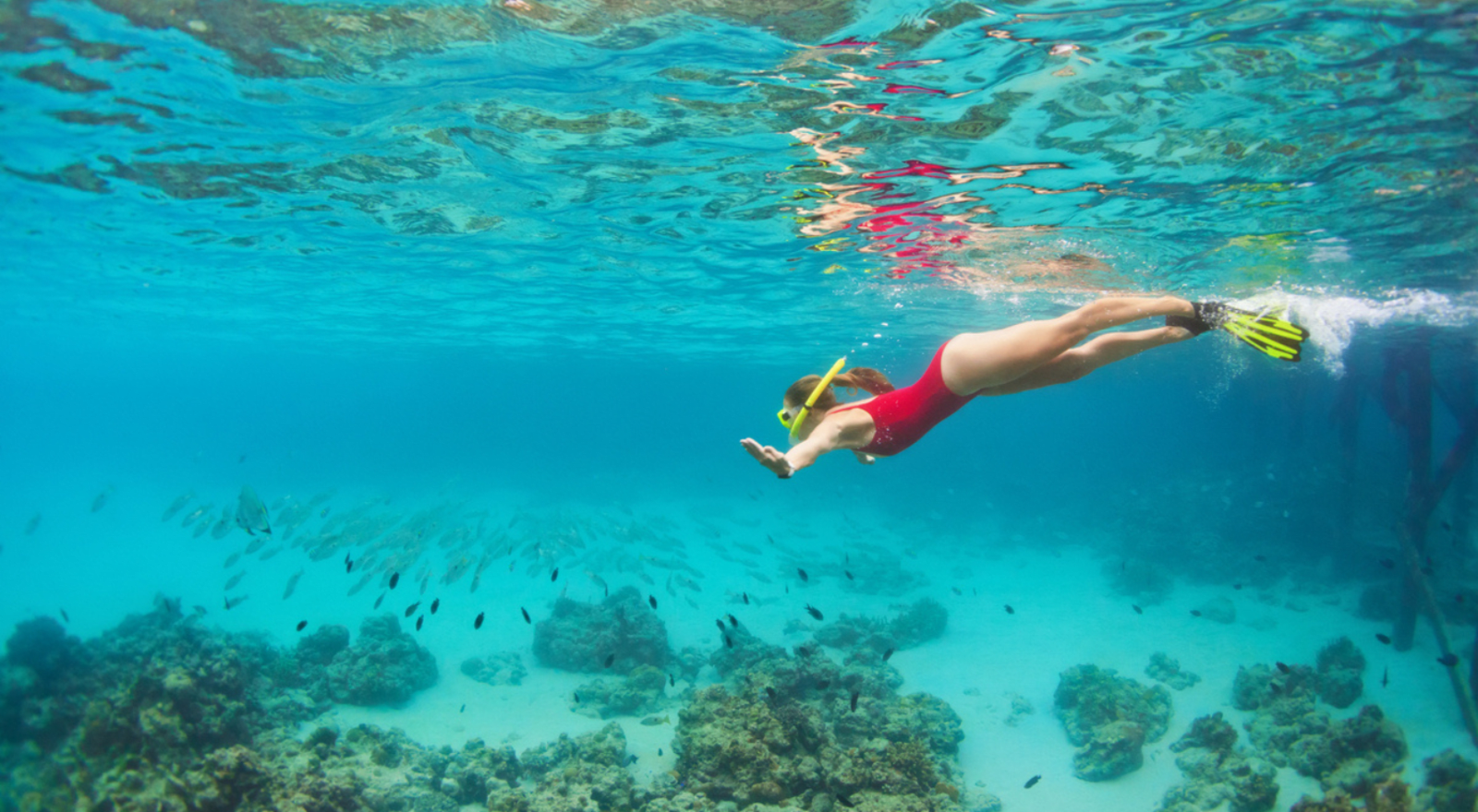 Lady diving underwater while snorkelling wearing flippers