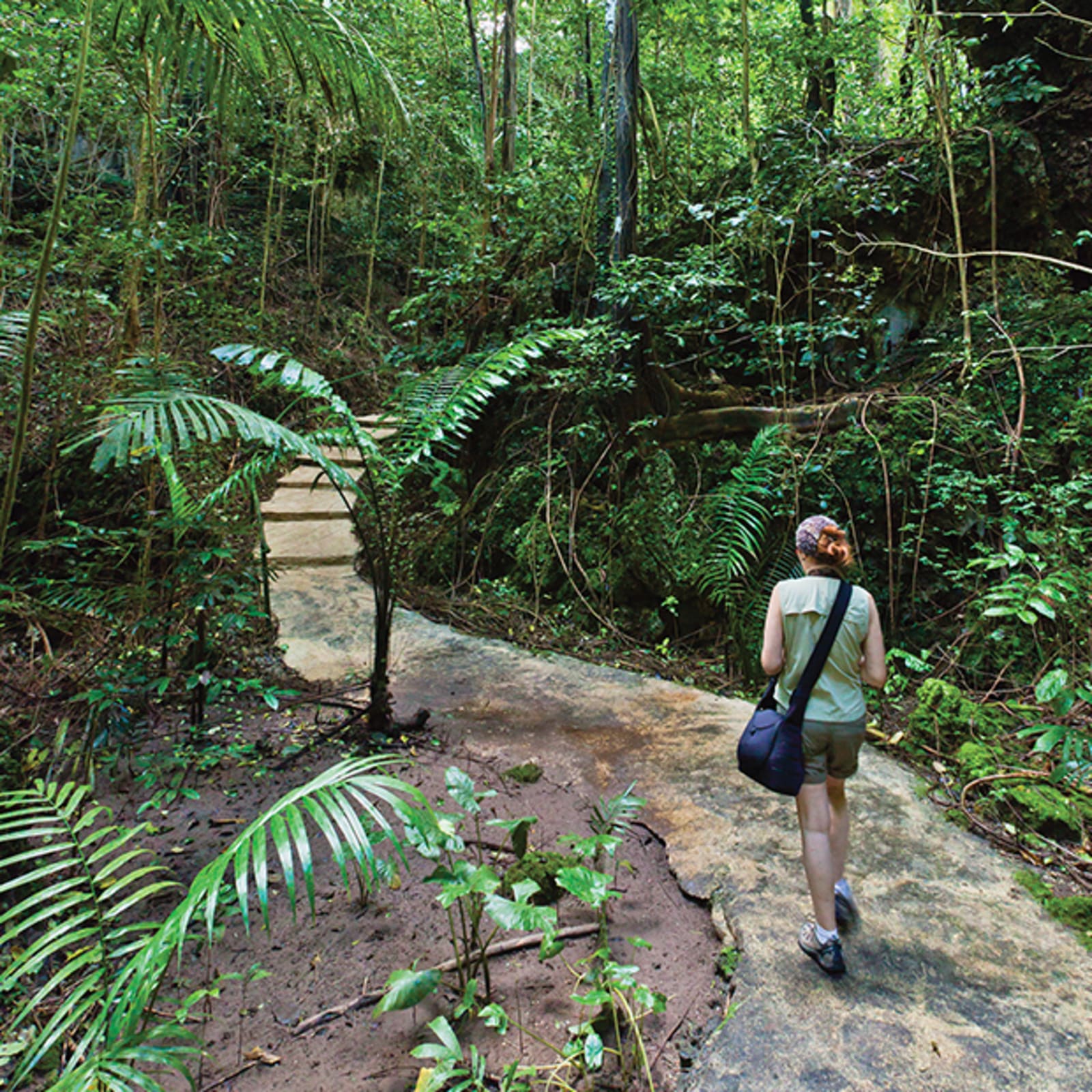 barbados-things-to-do-08-welchman-hall-gully.jpg