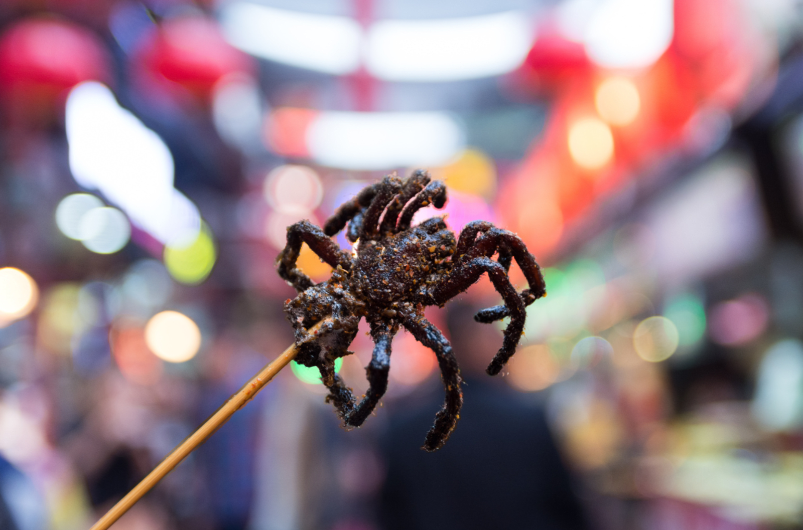 Fried tarantula on a stick ready to be eaten.