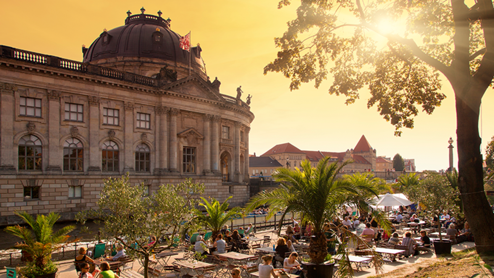 People dining in the shade of palm trees on a sunny Berlin afternoon